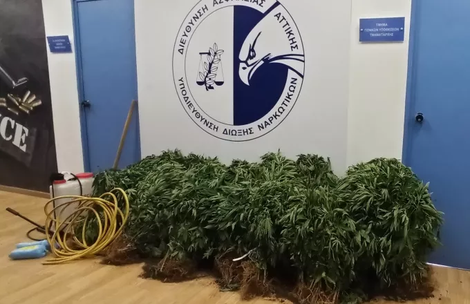 Έφτιαξε θερμοκήπιο… κάνναβης στη Θεσσαλονίκη