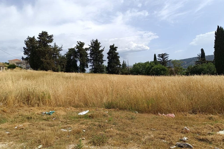 Παράταση υποβολής δηλώσεων καθαρισμού οικοπέδων