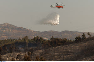 Πυρκαγιά στην Αρχαία Ολυμπία – Σήμανε συναγερμός στην Πυροσβεστική