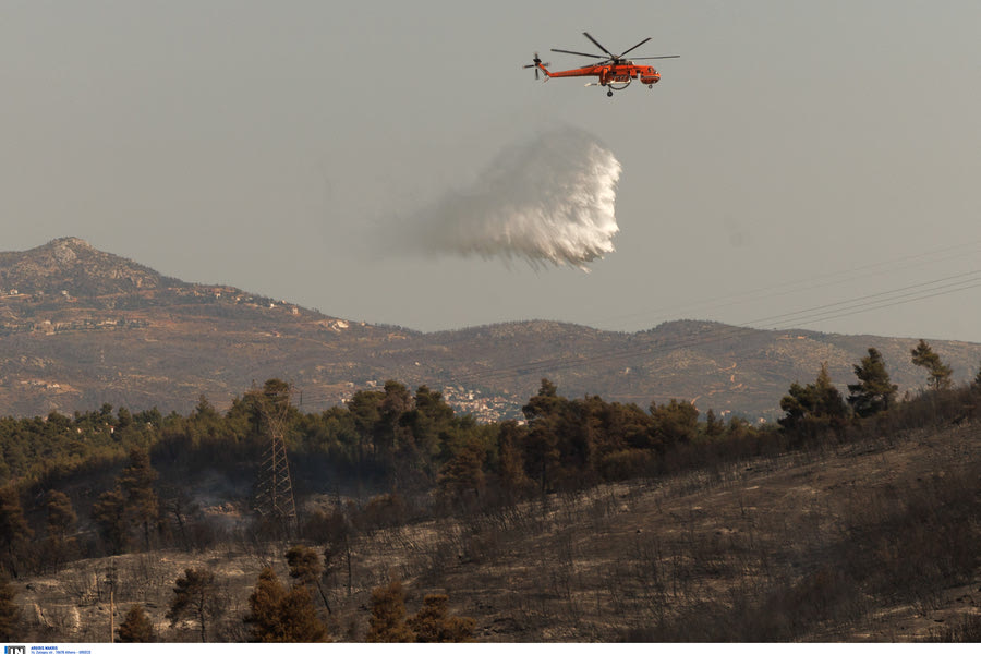 Πυρκαγιά στην Αρχαία Ολυμπία – Σήμανε συναγερμός στην Πυροσβεστική