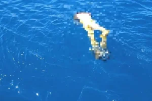 Το θρίλερ συνεχίζεται με το πτώμα που βρέθηκε στον Καρτερό