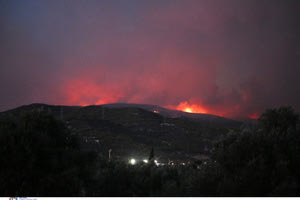 Φωτιά στην Εύβοια: Καίγεται πευκοδάσος – Ολονύχτια μάχη με ισχυρές επίγειες δυνάμεις