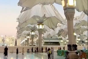 Γιγάντιες ομπρέλες προστατεύουν από τον ήλιο, αλλά γιατί όχι δέντρα;