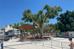 Ανάπλαση: Από την Πεδιάδος μέχρι το πάρκο Γεωργιάδη επεκτείνεται το εργοτάξιο