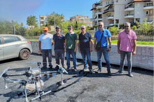 Μοιάζουν με κουνούπια αλλά είναι… «χειρονόμοι»: Η ανακοίνωση της Περιφέρειας για τα δίπτερα που έχουν εμφανιστεί στο Ηράκλειο