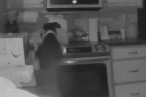 Σκύλος άναψε κατά λάθος το μάτι της κουζίνας και έβαλε φωτιά στο σπίτι – Βίντεο