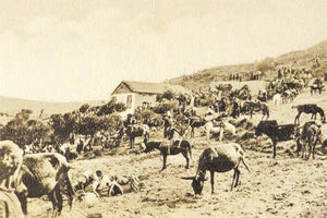 Στην Αγιά Μαρίνα της Βόνης!