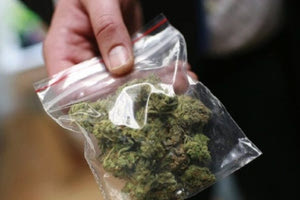 Δύο συλλήψεις για κατοχή κάνναβης σε Ηράκλειο και σε περιοχή της Χερσονήσου