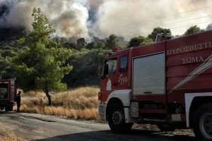 Φωτιά στο Λιτόχωρο Πιερίας: Ευχαριστίες στον Βασίλη Κικίλια για την άμεση επέμβαση
