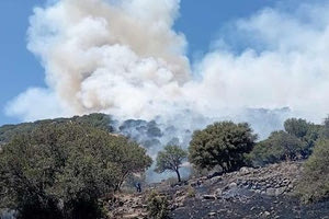 Μυτιλήνη: Συνελήφθη 28χρονος για την πυρκαγιά στο Μανταμάδο