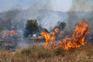 Σέρρες: Για τέταρτη μέρα καίει η φωτιά στο όρος Όρβηλος-Από αύριο θα ενισχυθούν τα εναέρια μέσα