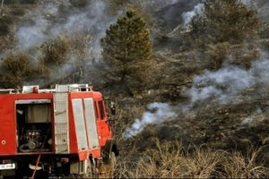 Φωτιά στη Μαγνησία – Μεγάλη κινητοποίηση της Πυροσβεστικής