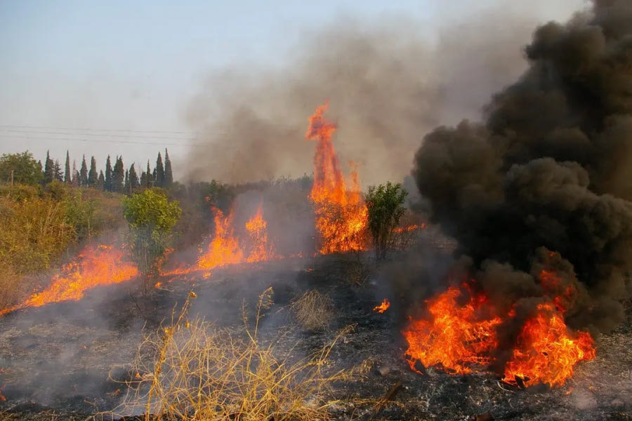 Χανιά: Πέταξαν δυναμιτάκια σε χωράφι, η άμεση επέμβαση της Πυροσβεστικής γλίτωσε τα χειρότερα!