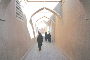 Άτεγκτοι κληρικοί και φιλόδοξοι γιατροί