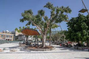 Ξεκινά άμεσα το ξήλωμα των πυλώνων στην Πλατεία Ελευθερίας – πόσες ημέρες θα χρειαστούν