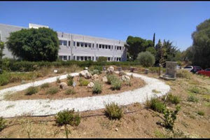 Ένας κήπος με φαρμακευτικά φυτά από την Ιατρική  Σχολή