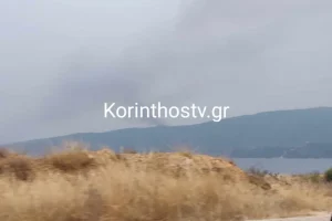 Φωτιά από πτώση κεραυνού στο Αμόνι Κορινθίας