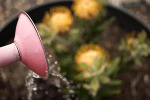 Λειψυδρία: Η Μεσόγειος “hotspot” της κλιματικής αλλαγής