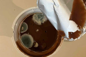 Ελληνική Διατροφολογική Εταιρεία: Προσοχή σε μουχλιασμένα επιδόρπια γάλακτος