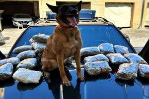 Κατασχέθηκε μεγάλη ποσότητα ναρκωτικών στη Ρόδο – Δύο συλλήψεις