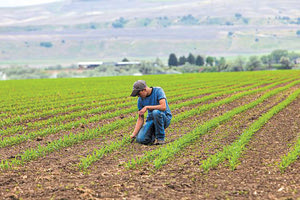 Γ. Βάγγος – Πρ. Αγροτών : Το λάθος του ΟΠΕΚΕΠΕ κοστίζει μέχρι και 16.000 ευρώ στον καθέναν μας