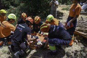 Δήμος Μινώα: Με επιτυχία η ημερίδα διάσωσης και κοινωνικής ευαισθητοποίησης