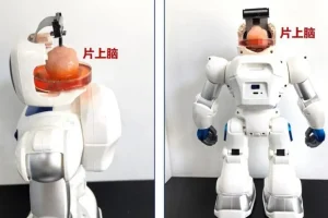 Ανθρωποειδές ρομπότ με δικό του μυαλό – Για παγκόσμια πρωτοτυπία μιλούν επιστήμονες