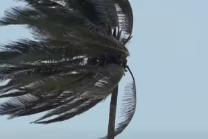 ΗΠΑ: Το Τέξας προετοιμάζεται για το πέρασμα της καταιγίδας Μπέριλ