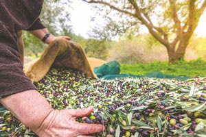 Σητεία: Την ώρα της Μαρινέλλας θα έχει και…διαδήλωση από τους βιοκαλλιεργητές!