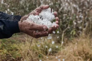 Έδεσσα: Ολική καταστροφή και ζημιές σε πάνω από 50.000 στρέμματα από το χαλάζι