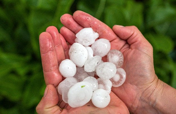 Θεσσαλονίκη: Ζημιές σε ελαιοκαλλιέργειες από τη χαλαζόπτωση στη Χαλκιδική