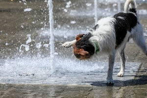 Ο φετινός Ιούνιος ήταν ο πιο θερμός από το 1860 – Που δεν έβρεξε σχεδόν καθόλου