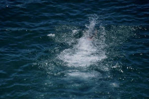 Σητεία: Χωρίς τις αισθήσεις του εντοπίστηκε ψαροντουφεκάς στην παραλία Μόχλος