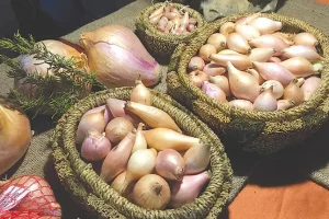 Στις 16 Αυγούστου η 4η Γιορτή Κρεμμυδιού στους Κασσάνους