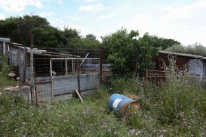 O… ζόρικος κτηνοτρόφος, η κινητοποίηση της Αστυνομίας και οι ενισχύσεις από το Ηράκλειο