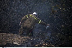 Ολοκληρώθηκαν οι αυτοψίες της Περιφέρειας Αττικής στις πυρόπληκτες επιχειρήσεις – Θα ακολουθήσουν οι αποζημιώσεις