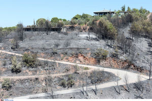 Αττική:Κρανίου Τόπος