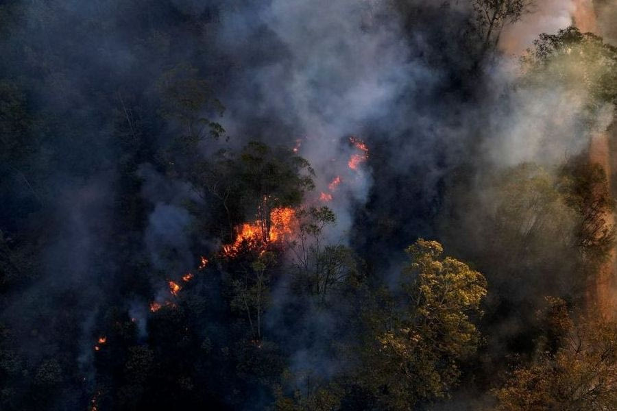 Φωτιά σε δάσος των Ιωαννίνων – Σε εξέλιξη πυροσβεστική επιχείρηση