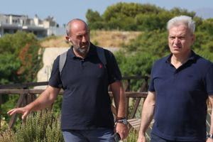 Το δέντρο που κόπηκε στο ΕΚΗ “οδήγησε” στο Αστυνομικό Μέγαρο τον Νίκο Γιαλιτάκη – μήνυση εναντίον και του Αλέξη Καλοκαιρινού