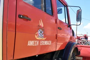 Φωτιά στην Άνω Επίδαυρο – Ισχυρές δυνάμεις της Πυροσβεστικής στο σημείο