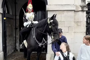 Βίντεο: Φρουρός του Καρόλου οδήγησε το άλογό του δίπλα σε γυναίκα με αναπηρία