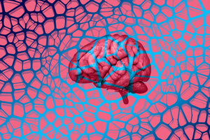 Ποιος είναι ο νέος μηχανισμός επικοινωνίας που ανακαλύφθηκε στον εγκέφαλο;