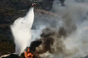 Από άγριο πουλί ξεκίνησε η χθεσινή φωτιά στην Εύβοια – Τι έδειξαν τα ευρήματα της πυροσβεστικής