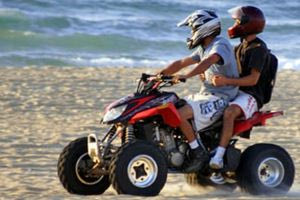 «Γουρούνες» στα νησιά: Τι ορίζει το νομοθετικό πλαίσιο