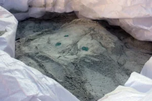 Γαλλία: Κατάσχεση ρεκόρ άνω των 10 τόνων κοκαΐνης στην Καραϊβική