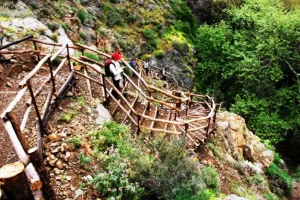 Απαγόρευση κυκλοφορίας στο Φαράγγι του Ρίχτη για αντιπυρική προστασία