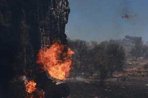 Φωτιά στη Ροδόπη – Άμεση κινητοποίηση της Πυροσβεστικής