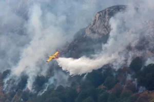 Πυροσβεστική: 31 αγροτοδασικές πυρκαγιές το τελευταίο 24ωρο σε όλη τη χώρα