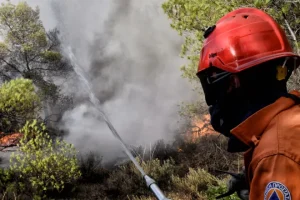 Φωτιά σε δασική έκταση στα Ιωάννινα – Κινητοποιήθηκε ελικόπτερο