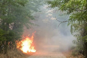 Ηράκλειο: Πρόστιμα για παράνομη καύση υπολειμμάτων καλλιεργειών